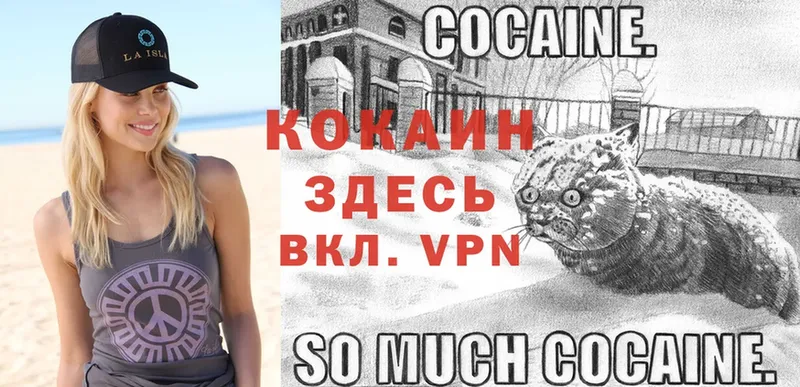 Cocaine Fish Scale  цена наркотик  Заводоуковск 